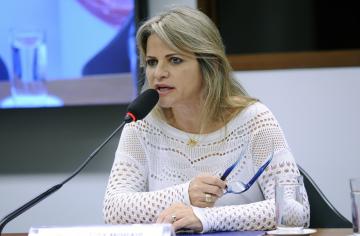 Foto de Lúcio Bernardo Junior/Câmara dos Deputados Audiência Pública. Dep. Flávia Morais (PDT - GO) 